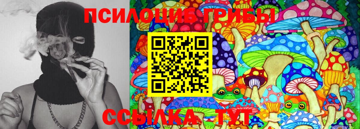 Псилоцибиновые грибы мухоморы Котовск