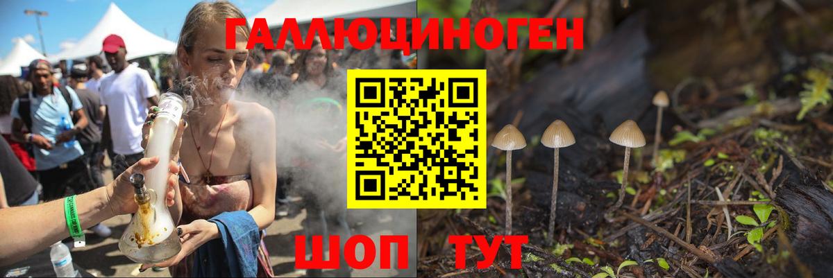 Котовск  Псилоцибиновые грибы мухоморы  Вход с VPN 
